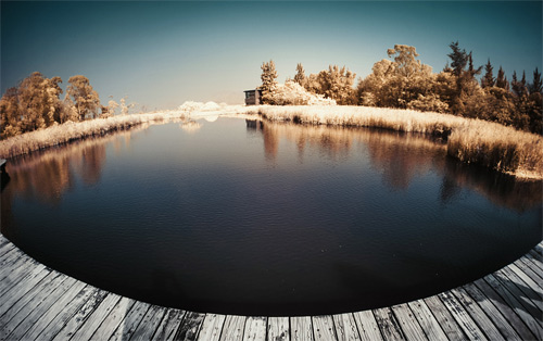 Yiu Yu Hoi Infrared Photography