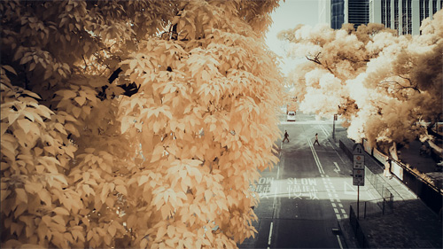 Yiu Yu Hoi Infrared Photography