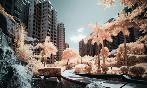 Yiu Yu Hoi Infrared Photography