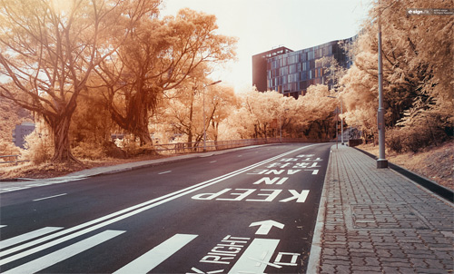 Yiu Yu Hoi Infrared Photography