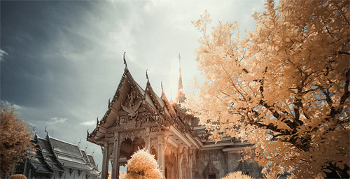 Yiu Yu Hoi Infrared Photography