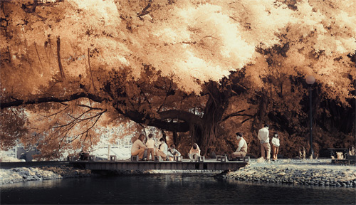 Yiu Yu Hoi Infrared Photography