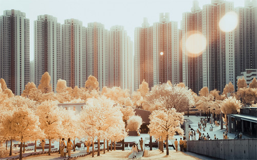 Yiu Yu Hoi Infrared Photography