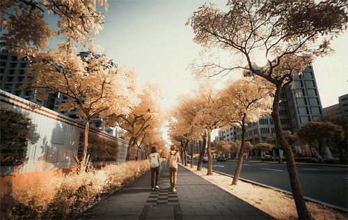 Yiu Yu Hoi Infrared Photography