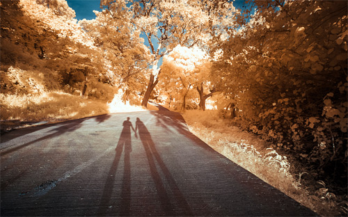 Yiu Yu Hoi Infrared Photography