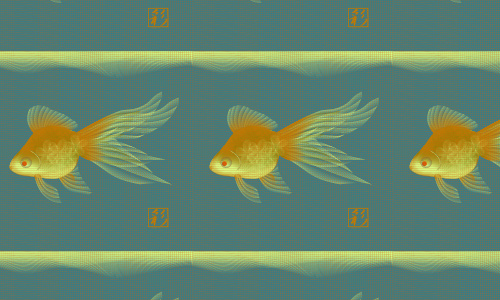 Goldfish free fish patterns