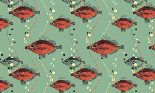 Red free fish patterns