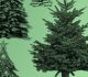 Warm Your Holiday Design With These Free Christmas Tree Brushes