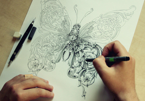 alex konahin detailed illustrations little wings