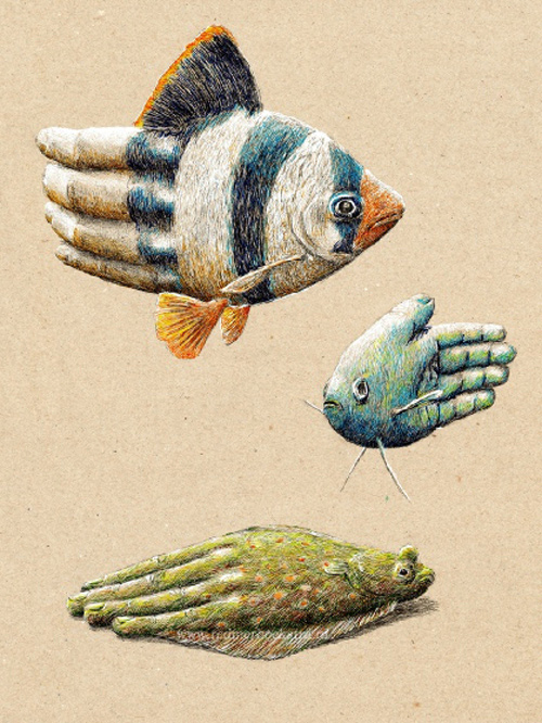 Redmer Hoekstra illustrations