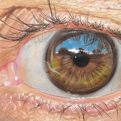 Redosking realistic eye drawings colored pencil