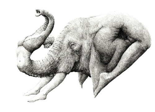 Redmer Hoekstra illustrations