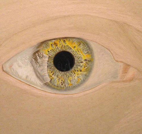 Redosking realistic eye drawings colored pencil
