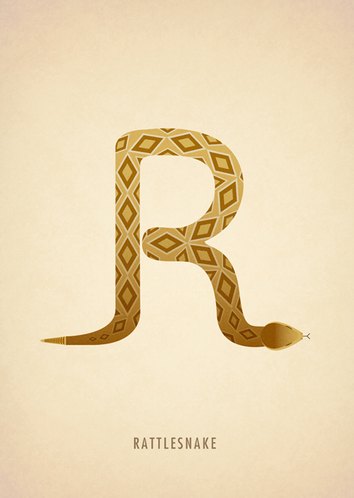 marcus reed animal alphabet illustration