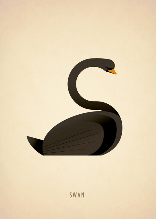 marcus reed animal alphabet illustration