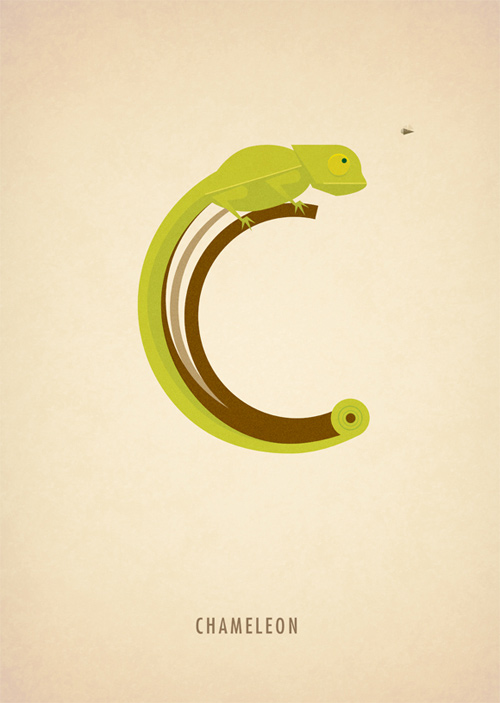 marcus reed animal alphabet illustration