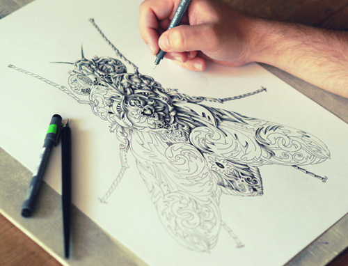 alex konahin detailed illustrations little wings