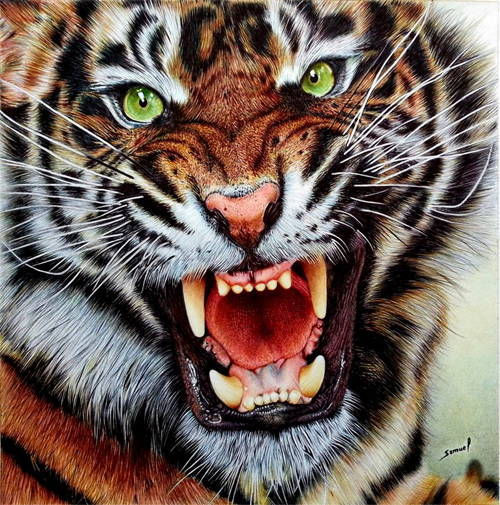 samuel silva realistic drawings ballpoint pen