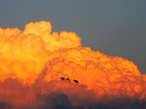 Elio Pallard Playing with Clouds