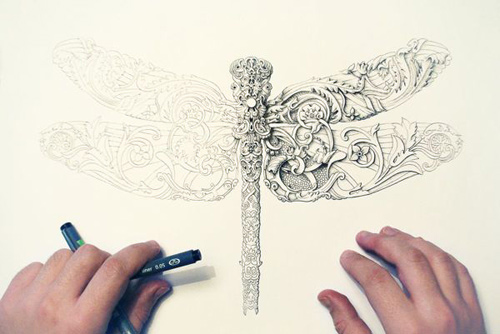 alex konahin detailed illustrations little wings