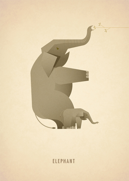 marcus reed animal alphabet illustration