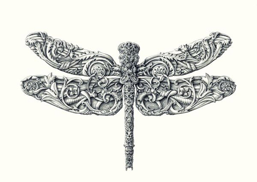 alex konahin detailed illustrations little wings