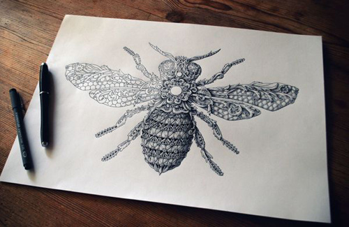 alex konahin detailed illustrations little wings