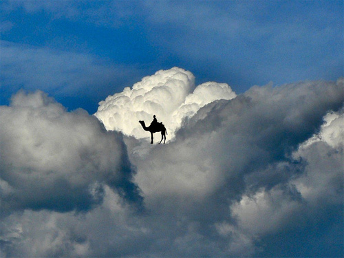 Elio Pallard Playing with Clouds