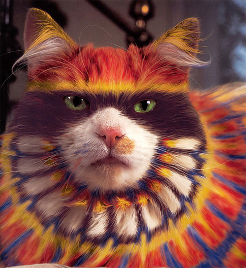 Burton Silver Heather Busch Why Paint Cats: The Ethics of Feline Aesthetics