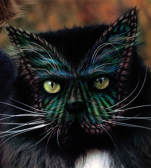 Burton Silver Heather Busch Why Paint Cats: The Ethics of Feline Aesthetics