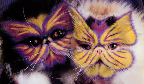 Burton Silver Heather Busch Why Paint Cats: The Ethics of Feline Aesthetics