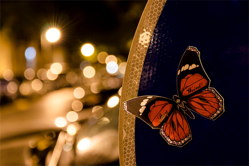 Andreas Preis featured Butterflies effect