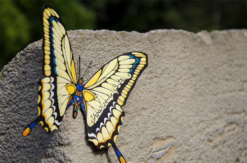 Andreas Preis featured Butterflies effect