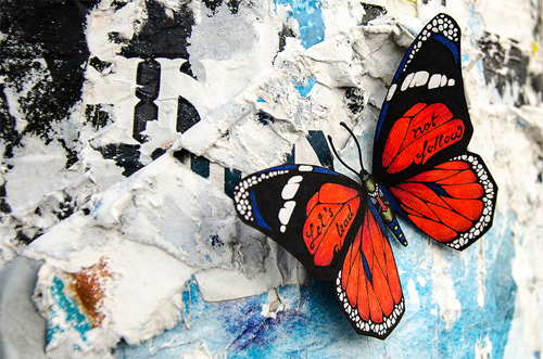 Andreas Preis featured Butterflies effect