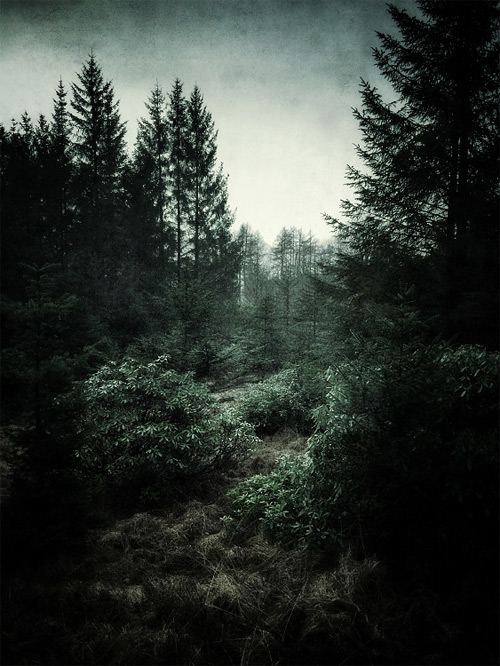 Julian Calverley photography landscapes iphone