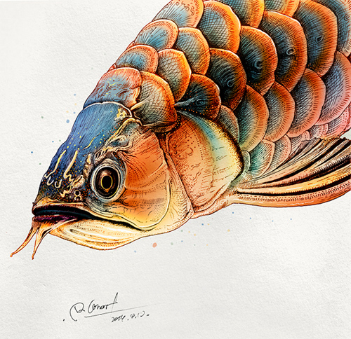 Rlon Wang featured animal illustrations