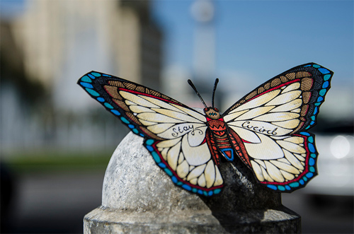 Andreas Preis featured Butterflies effect