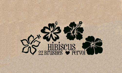 Beautiful free hibiscus brushes