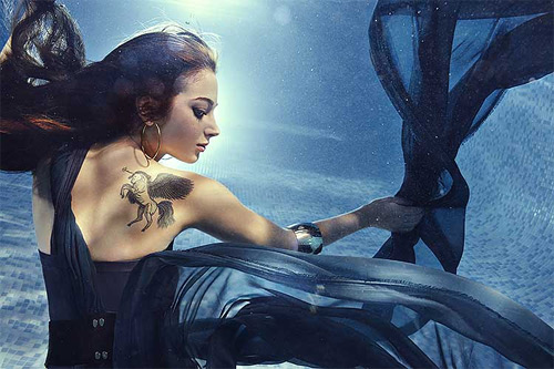 zena holloway underwater photography featured