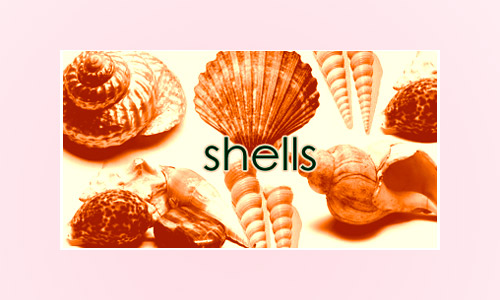 Photoshop 7 shells photoshop brushes 