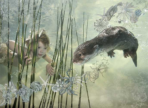 zena holloway underwater photography featured