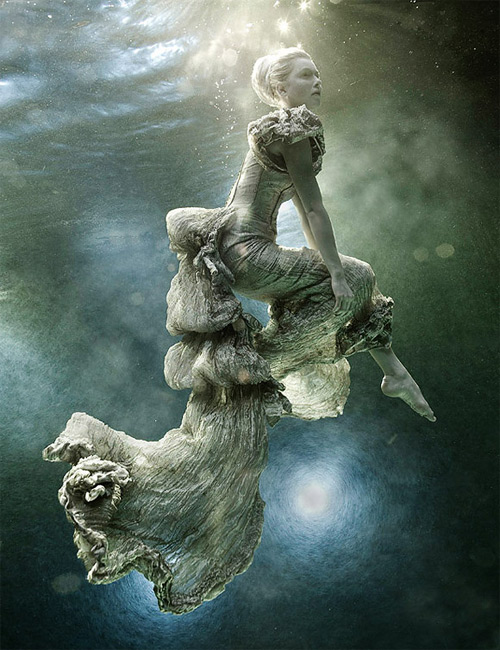 zena holloway underwater photography featured