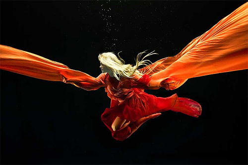 zena holloway underwater photography featured