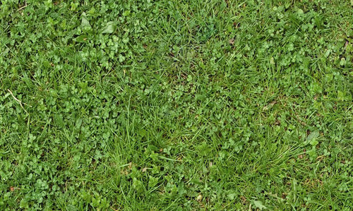 cool seamless grass textures free