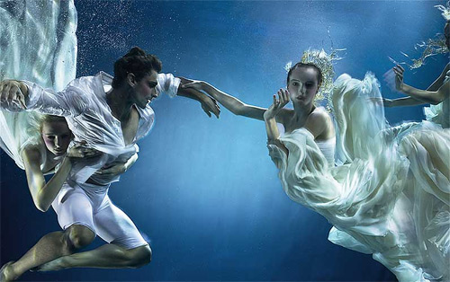 zena holloway underwater photography featured