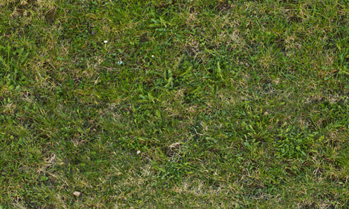 Free Seamless Green Grass Textures