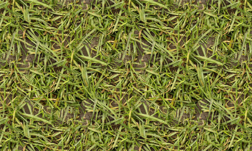wet seamless grass textures free