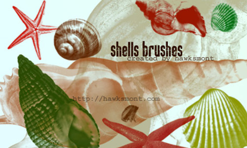 artistic shells photoshop brushes 