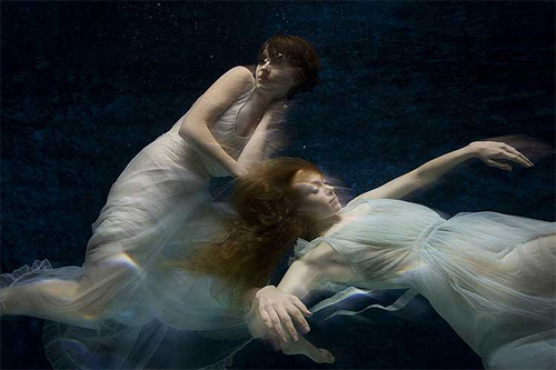 zena holloway underwater photography featured