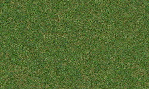 seamless green grass texture